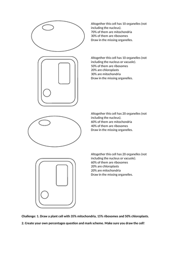 docx, 24.13 KB