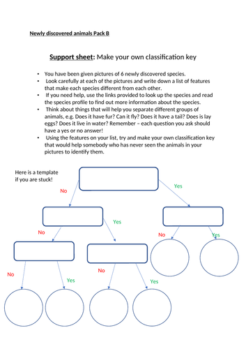 KS3 Interdependence (HOME LEARNING) | Teaching Resources