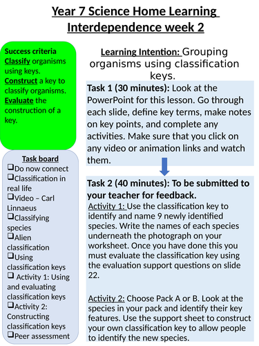 KS3 Interdependence (HOME LEARNING) | Teaching Resources