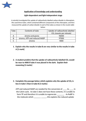 docx, 17.85 KB