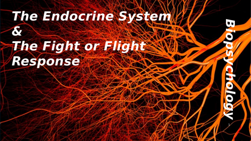 Biopsychology - The Endocrine System & Bio Rhythms for A Level ...
