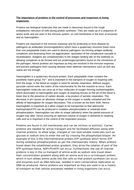 Living organisms essay picture