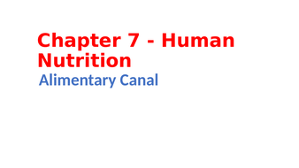 IGCSE Biology Chapter 7 - Human Nutrition | Teaching Resources