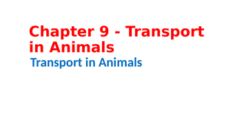 IGCSE Biology Chapter 9 - Transport in Animals | Teaching Resources