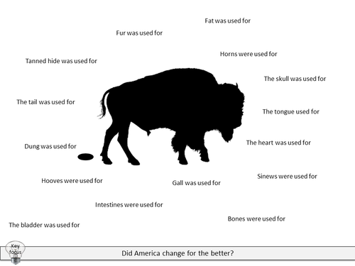 The Great Plains and the Buffalo | Teaching Resources