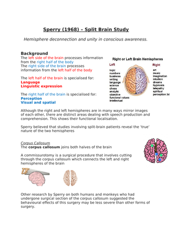 Core studies (A LEVEL) -OCR Psychology | Teaching Resources