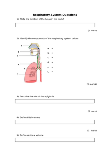 docx, 80.93 KB