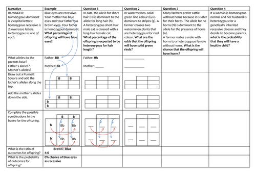 docx, 40.02 KB