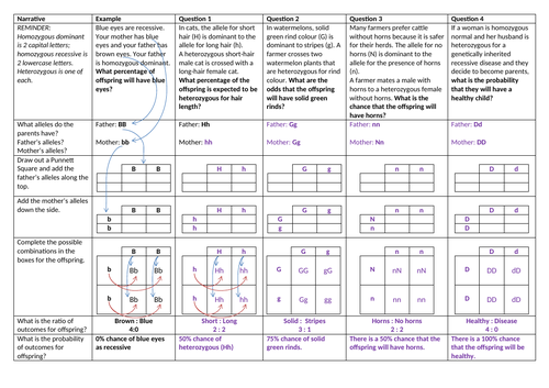 docx, 44.73 KB