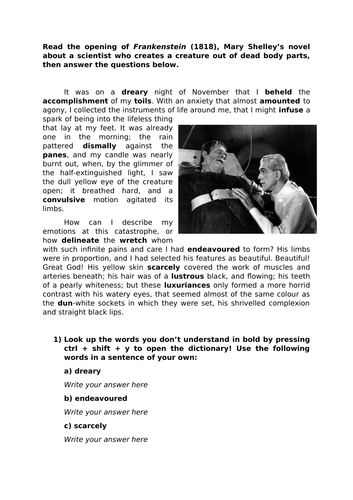 10 x KS3 literacy worksheets - vocab, comprehension, analysis and ...