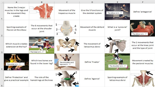 Skeletal & Muscular Systems Learning Grid (GCSE PE) | Teaching Resources
