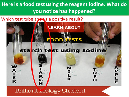 The Chemistry of Food | Teaching Resources
