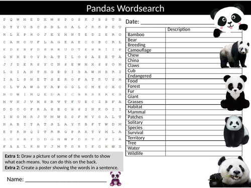 Pandas Wordsearch Pe Sports Starter Settler Literacy Activity Homework