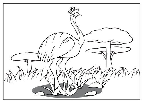 Australian animals coloring pages | Teaching Resources