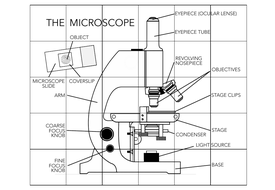 Microscope - Jigsaw Puzzle (KS3/4) | Teaching Resources
