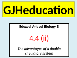 Double circulatory system (Edexcel A-level Biology B) | Teaching Resources
