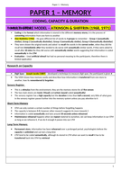 Working memory psychology image