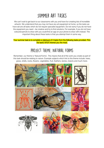 Summer Projects - KS2/3/4 - Bridging Art & Design Skills | Teaching