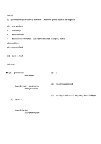docx, 244.61 KB