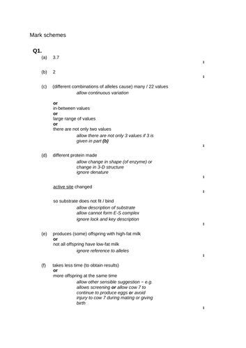 docx, 13.97 KB