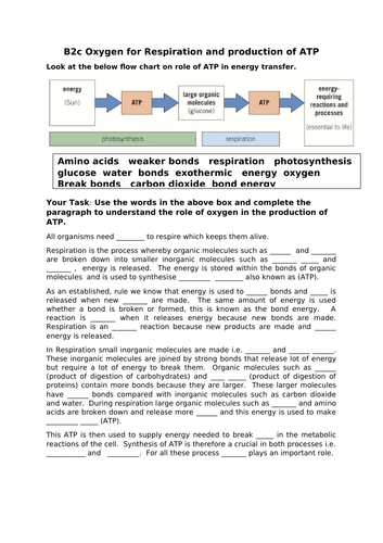 U5 B2c Oxygen for production of ATP. | Teaching Resources