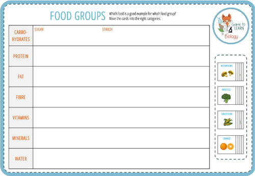 Food Groups Digital Card Sort Ks34 Teaching Resources 1831