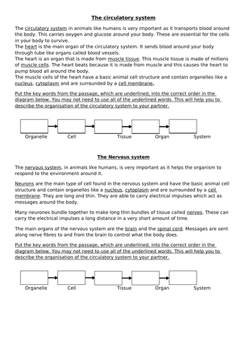 docx, 30.94 KB
