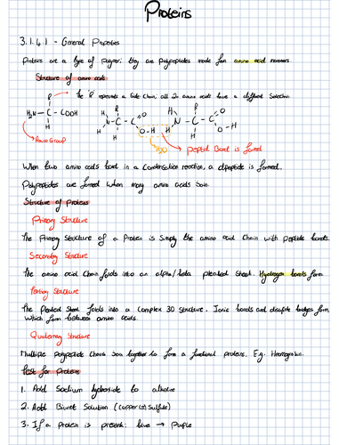AQA Bio A-Level Biological Molecules Notes | Teaching Resources