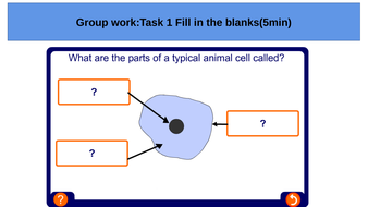 year 7 worksheets biology cells teaching resources