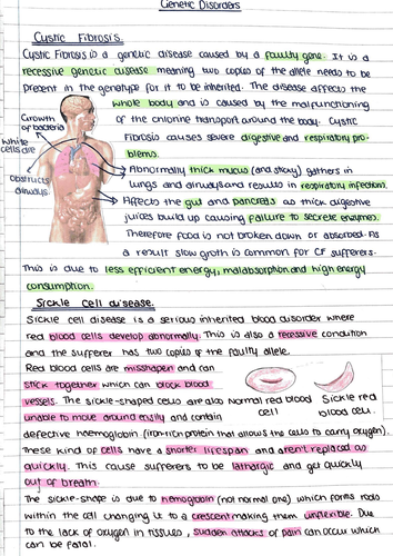 GCSE Biology Revision | Teaching Resources