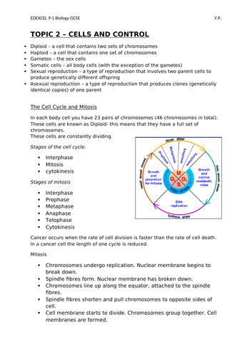 EDEXCEL BIOLOGY 9-1 GCSE (Separate) Topic 2 Cells and Control YP