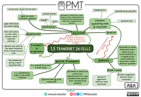 AQA Biology GCSE (9-1) Mindmaps | Teaching Resources