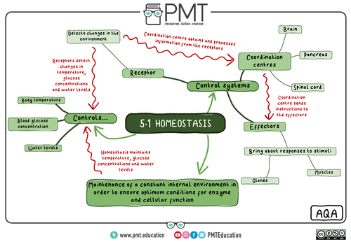 Aqa Gcse Biology 9 1 Mindmaps Teaching Resources 0554