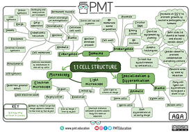 AQA Biology GCSE (9-1) Mindmaps | Teaching Resources