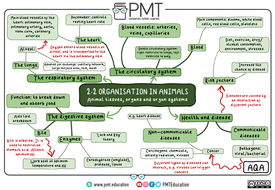 AQA Biology GCSE (9-1) Mindmaps | Teaching Resources