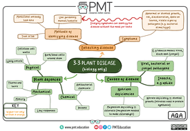 AQA Biology GCSE (9-1) Mindmaps | Teaching Resources