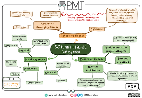 Aqa Gcse Biology 9 1 Mindmaps Teaching Resources 9002