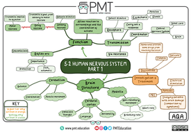 AQA Biology GCSE (9-1) Mindmaps | Teaching Resources