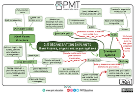 AQA Biology GCSE (9-1) Mindmaps | Teaching Resources