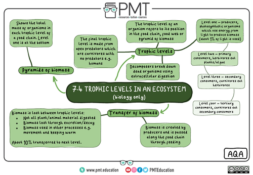 Aqa Gcse Biology 9 1 Mindmaps Teaching Resources 9899