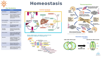 homeostasis pptx