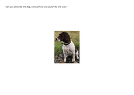 Six Dinner Sid Teaching Resources