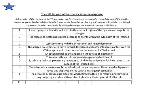 The body's immune response (Edexcel Int. A-level Biology) | Teaching ...