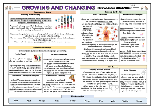 KS1 PSHE Knowledge Organisers Bundle! | Teaching Resources