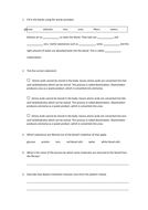 Kidneys and Dialysis Slides and Worksheet (GCSE Biology ...