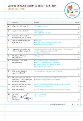 Specific Immune System B Cells Mini Test Ks5 Teaching Resources