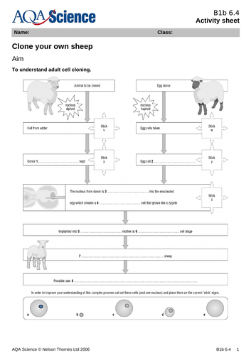 Adult cell cloning [NEW SPEC AQA] | Teaching Resources