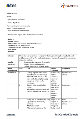 Structure and vocabulary (Zambian curriculum) | Teaching Resources