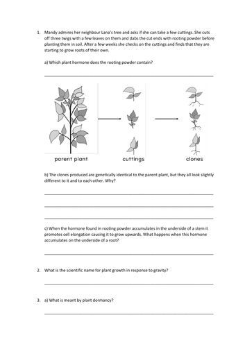 Plant Hormones Slides and Worksheet (GCSE Biology AQA) | Teaching Resources