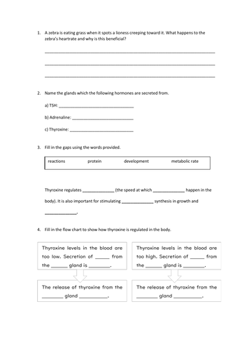 Adrenaline and Thyroxine Slides and Worksheet (GCSE Biology AQA ...